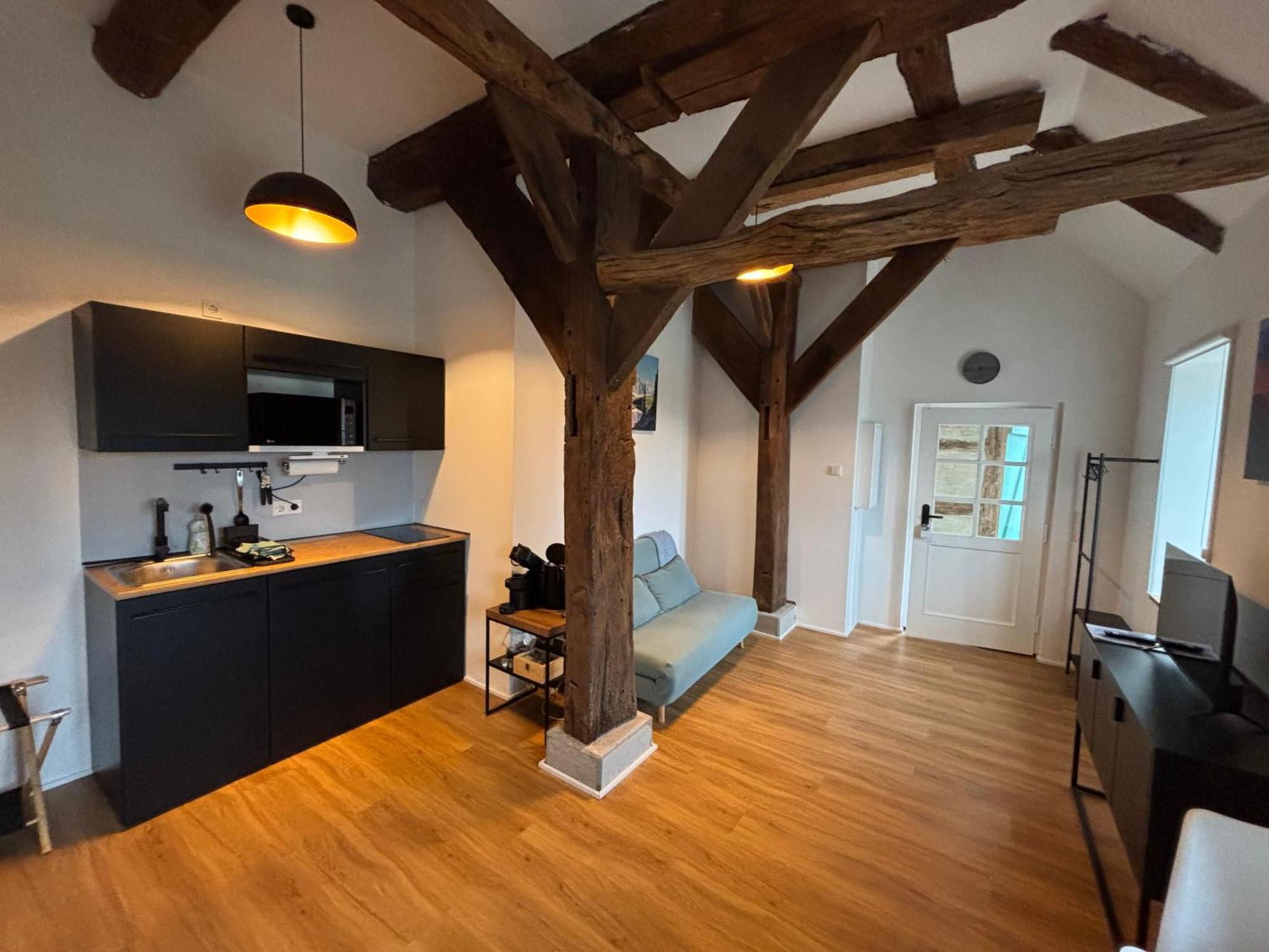 Niedersaechsisches Hallenhaus Im Modernen Gewand Apartment